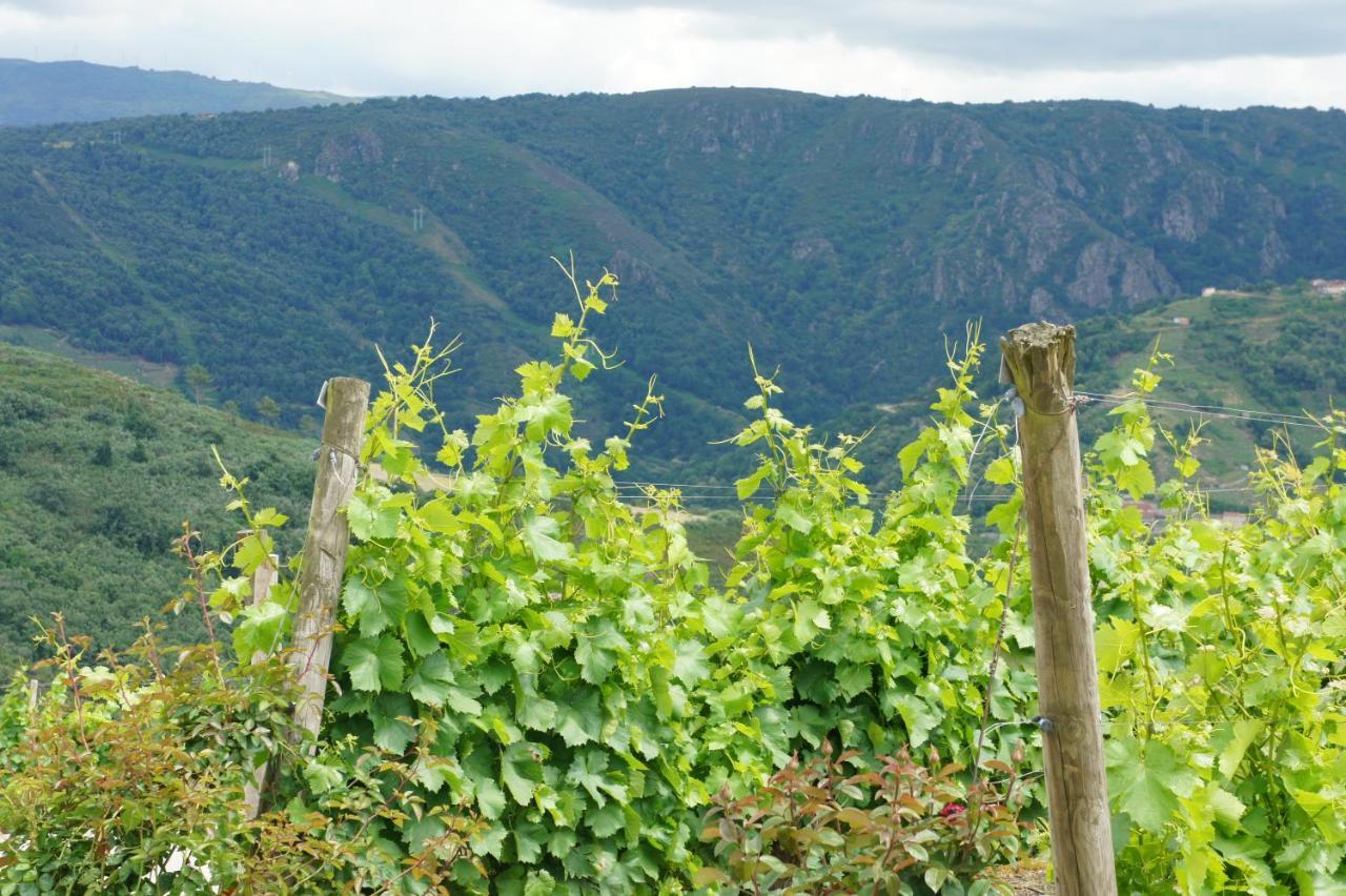 Апартаменты A Forxa Casa Ferrador Ribeira Sacra Собер Экстерьер фото